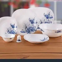 سرویس غذاخوری پارس اپال