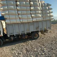 خریدار کاه لوبیا چیتی