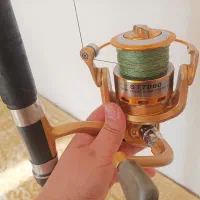 لنسر ماهی گیری