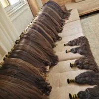 خریدار اصلی مو و بدون واسطه