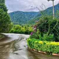 تنکابن زمین شهرکی با ویوی جنگل/نقدواقساط