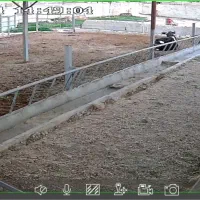 کارگر گاوداری