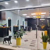 دعوت به همکاری در آرایشگاه مردانه