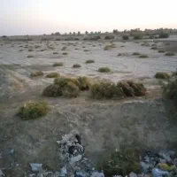 خار|لوازم جانبی حیوانات|کرباسک, |دیوار