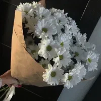 سفارش گل|گل مصنوعی|مشهد, کوثر|دیوار