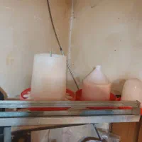 دان خوری و آب خوری مرغ و جوجه