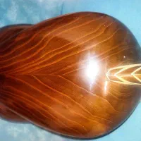 تار شوقی معاوضه با گیتار