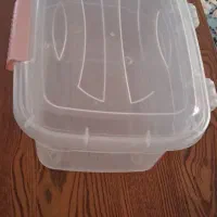 جانونی