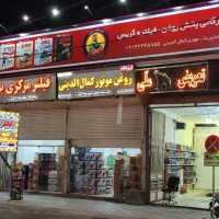 فروشنده و حسابدار خانم