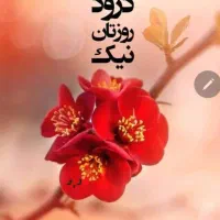 اسختدام نیروی کافی نتی