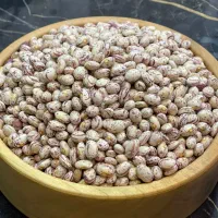 لوبیا چیتی|خوردنی و آشامیدنی|بهار, |دیوار