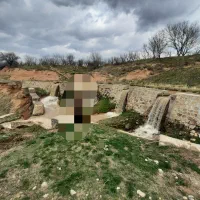 فروش-باغ-گردو