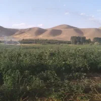 موتور اب|ماشین‌آلات صنعتی|سنندج, |دیوار