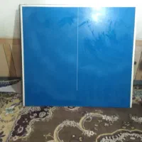 میز پینگ پنگ