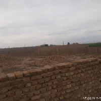 مشارکت دردامپروری وپرورش گوساله گوشتی|استخدام مالی، حسابداری، حقوقی|جوادآباد, |دیوار