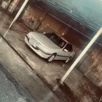 پرشیا 81 درجه 1