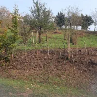 ۳۱۵ متر زمین داخل طرح هادی اطاقور اشیان