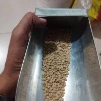 نخود ولوبیا چیتی گرد و عدس محلی درجه یک و عالی|عمدهفروشی|الیگودرز, |دیوار