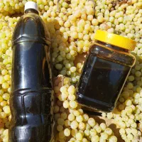 شیره انگور خالص کشمش|خوردنی و آشامیدنی|تهران, ترمینال غرب|دیوار