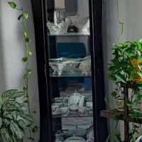 بوفه، ویترین