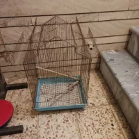 دو قفس پرنده