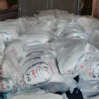 پخش مستقیم برنج ایرانی فجر گرگان