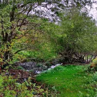 پرداخت نقدی وام ازدواج