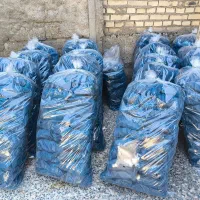 زغال کیسه،بسته بندی،فشرده،لیمو سکه و برشی