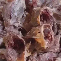 غذا رسانی سگ و گربه شامل اسکلت مرغ و ضایعات