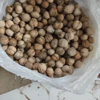 گردو تویسرکان|خوردنی و آشامیدنی|رباط‌کریم, رباط‌کریم|دیوار