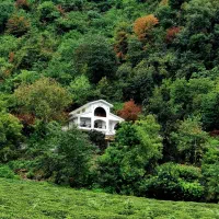 اجاره-روزانه-ویلا-و-آپارتمان-درلیالستان-ولاهیجان