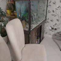 آکواریم|لوازم جانبی حیوانات|مشکین‌دشت, |دیوار