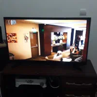 تلوزیون|تلویزیون و پروژکتور|گنبد کاووس, |دیوار