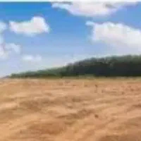 زمین-باغی