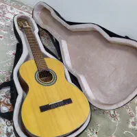 گیتار بست فان e150 و هارد کیس درجه ۱ فوق سبک