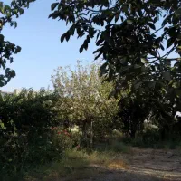 باغ در منطقه زیبادشت محمدشهر|فروش زمین و ملک کلنگی|محمدشهر, زیبادشت|دیوار