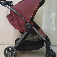 کالسکه و کریر گراکو آمریکایی