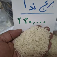 برنج شمال ندا خوشپخت