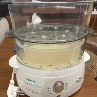 بخار پز