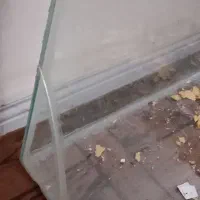 آکواریوم بزرگ|ماهی|سندرک, |دیوار