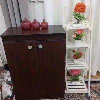 جاکفشی بوفه استند گل