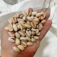 عرضه زعفران زرشک پسته هل عناب و سایر ادویه جات|خوردنی و آشامیدنی|شیراز, دشت چنار|دیوار