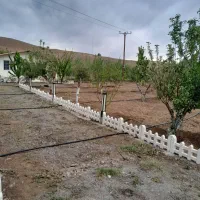 لوله کشی قطره ای و بارانی باغات و مزارع