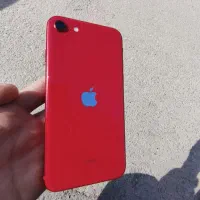 iPhone se 2020|موبایل|همدان, |دیوار