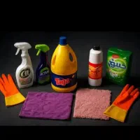 نظافت وسرایداری