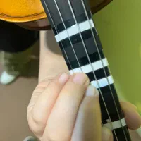 آموزش ویولن و تئوری موسیقی