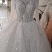 ساتن عربی. شب نما|لباس|انگوران, |دیوار