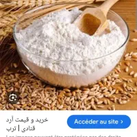 شاطر