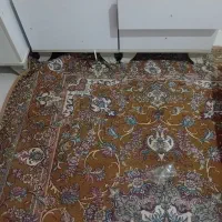 تخت خواب و سرویس|تخت و سرویس خواب|زابل, |دیوار