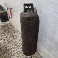 کپسول نیک بزرگ